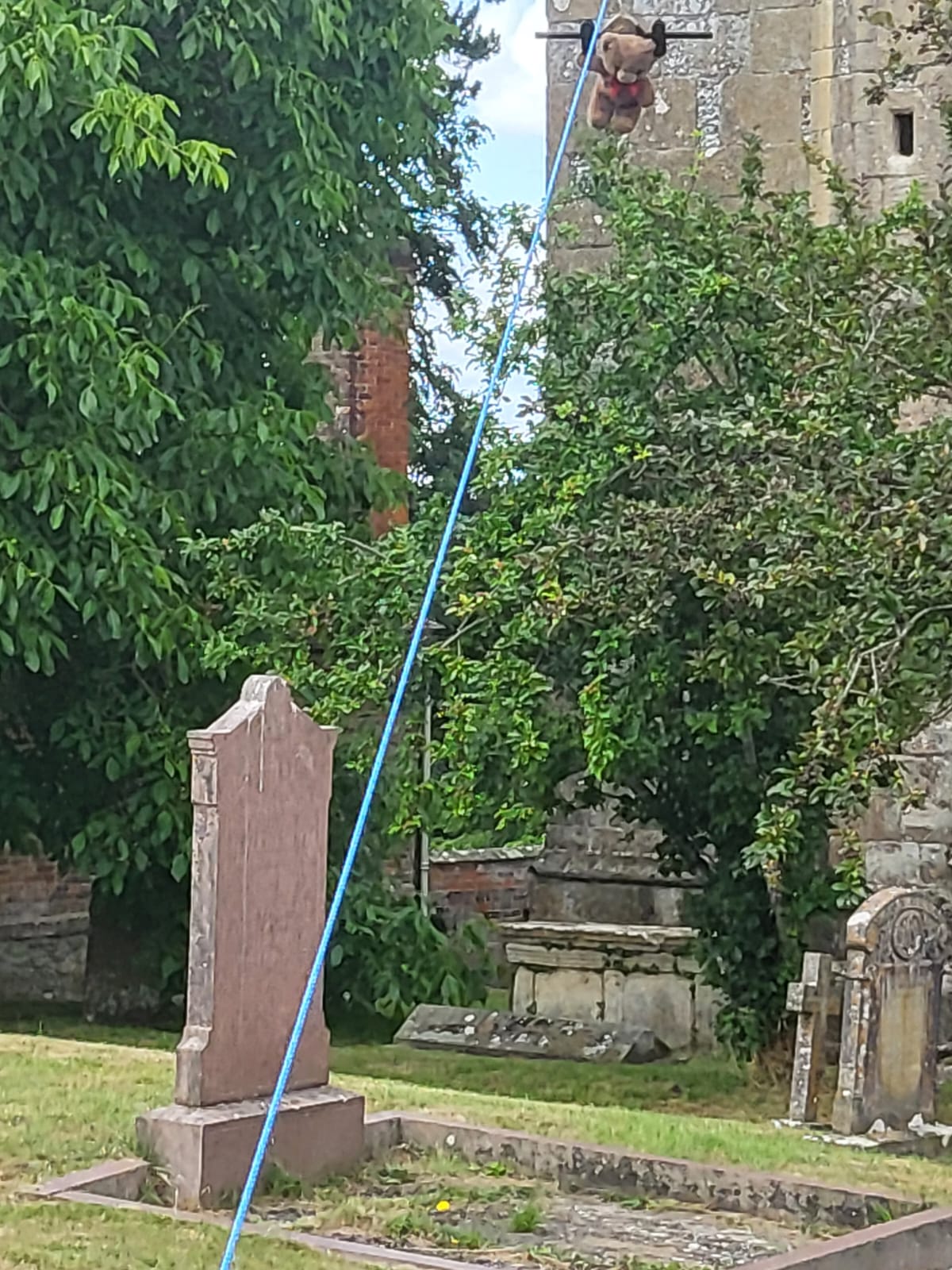 xteddy on zip wire