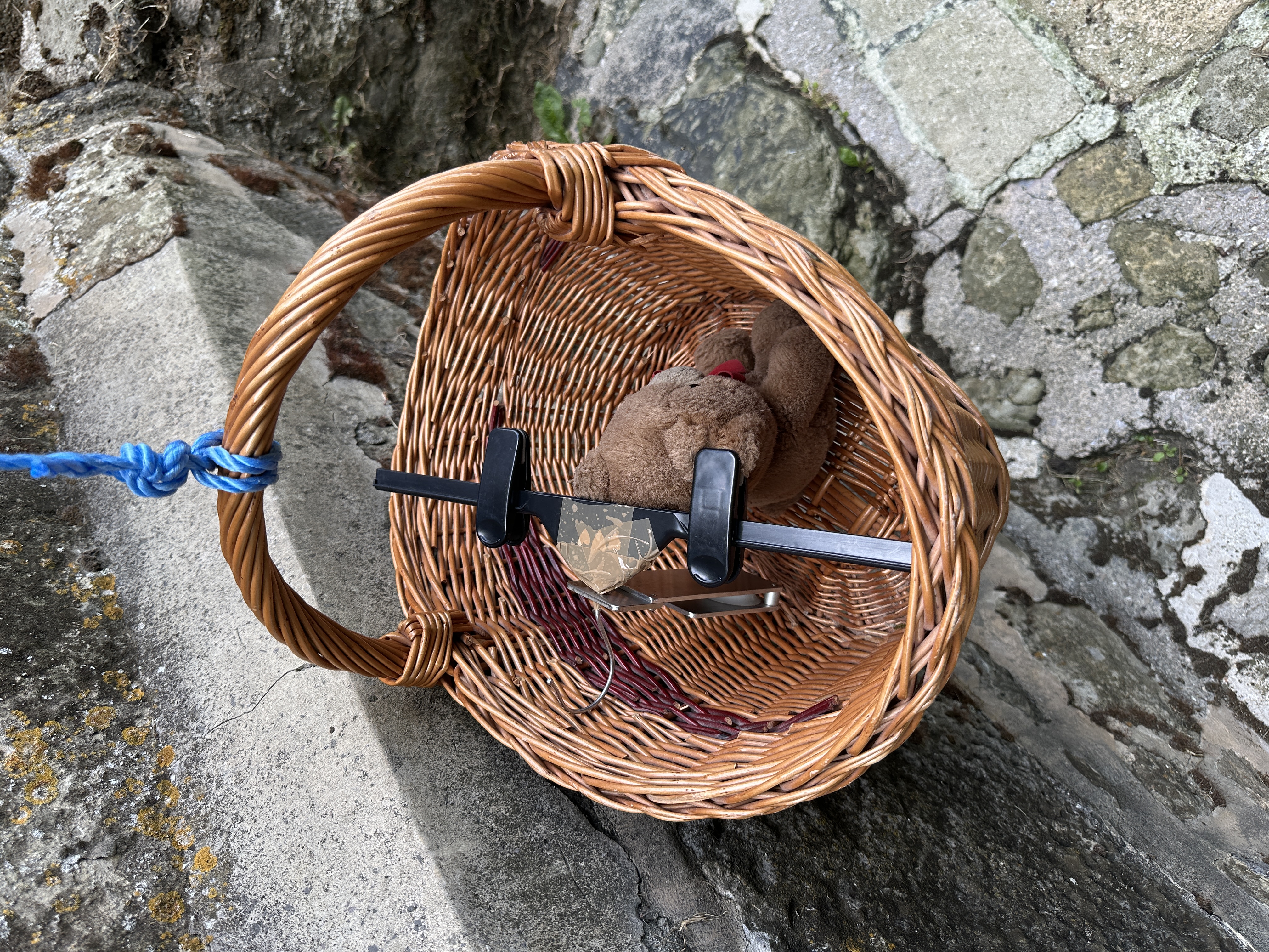 xteddy in basket